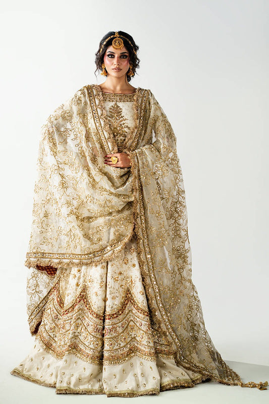lehanga choli
